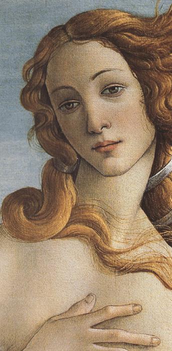 Sandro Botticelli The Birth of Venus (mk36) Sweden oil painting art